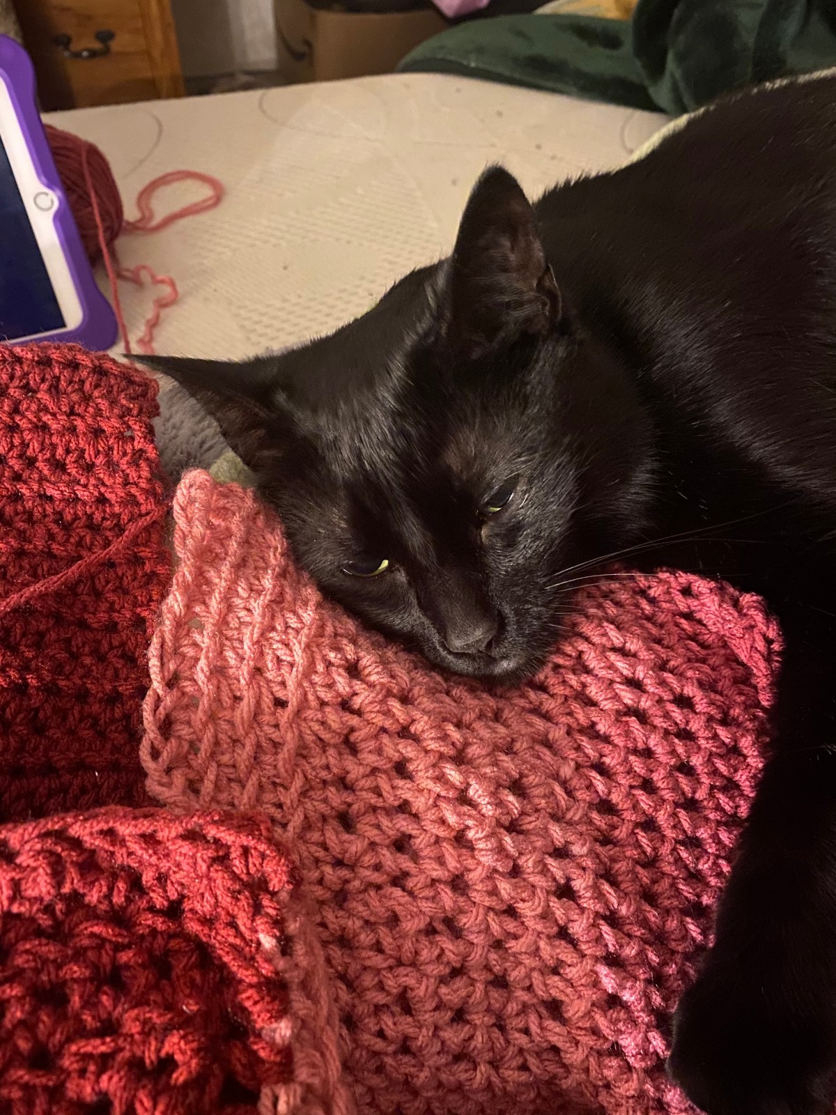 I’m a Hooker with a Heart of&nbsp;Gold