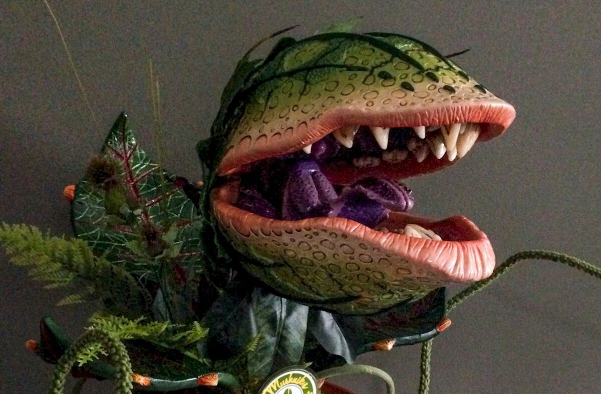 Feed Me, Seymour!  Ew, Not&nbsp;That.