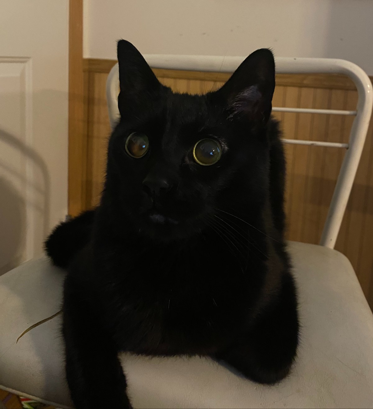 The Last Tunnel on the&nbsp;Right