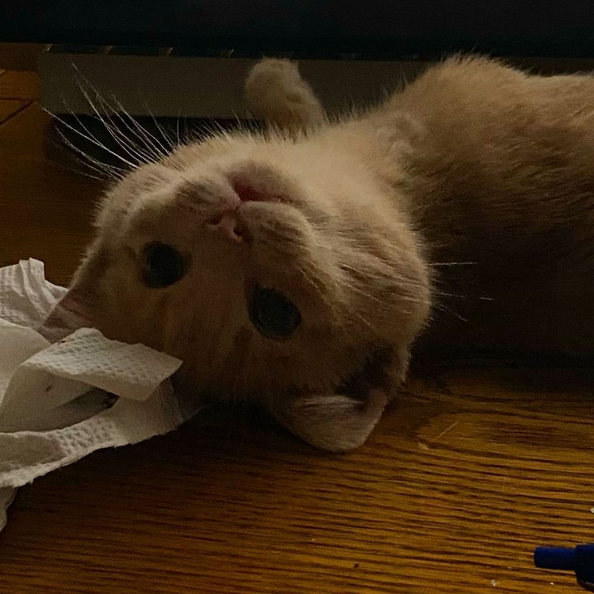 Act Your Age, Not Your Shoe&nbsp;Size