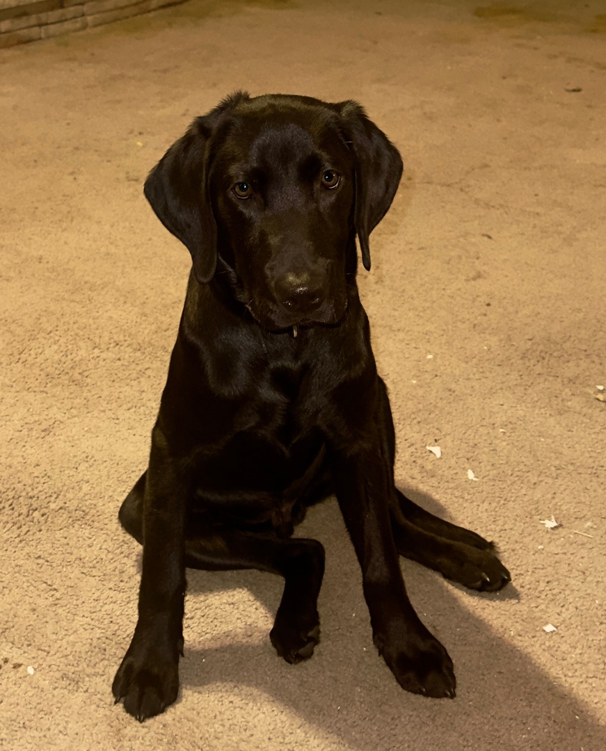 Things We Lost in the&nbsp;Neville