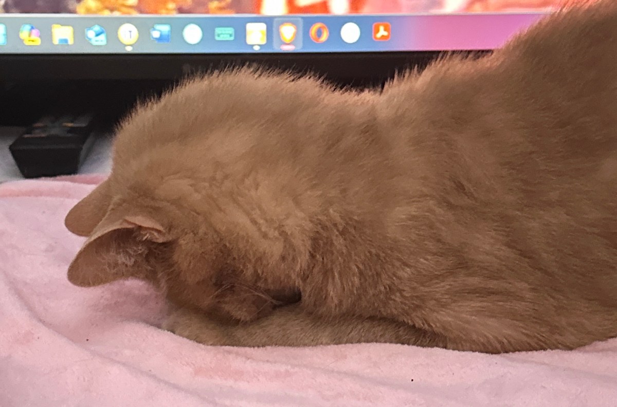 this is me&nbsp;trying