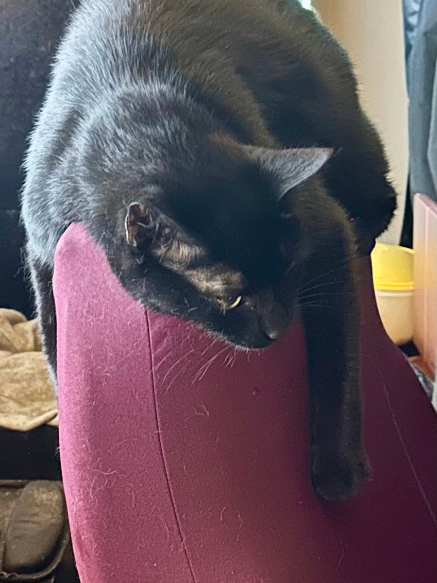 Incident at Chairnoble